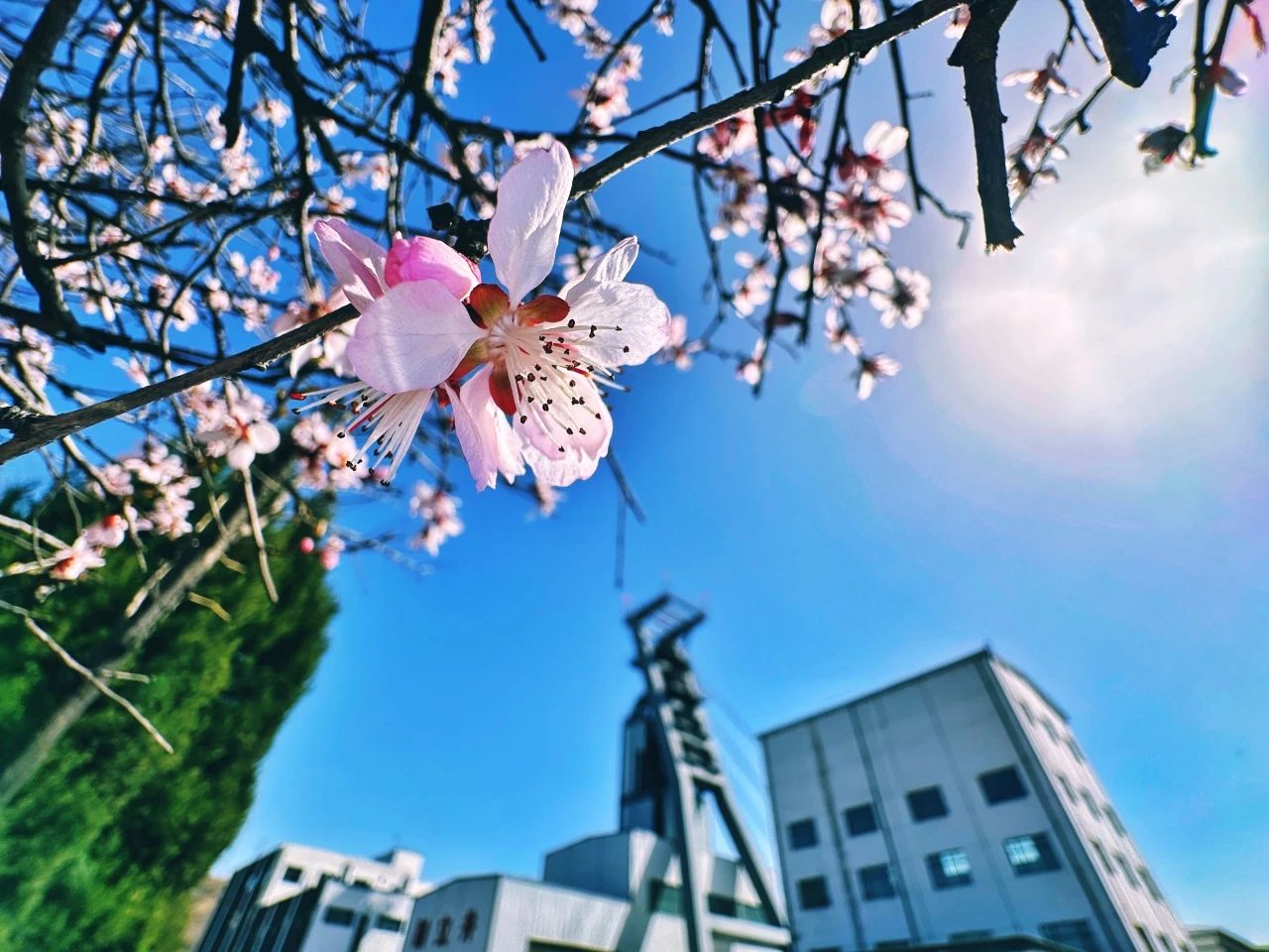 寺家莊煤業(yè)風(fēng)景